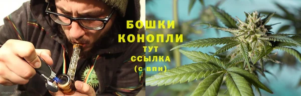 дживик Дмитров