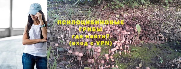 a pvp Дмитриев