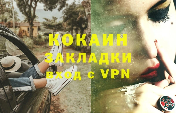 дживик Дмитров