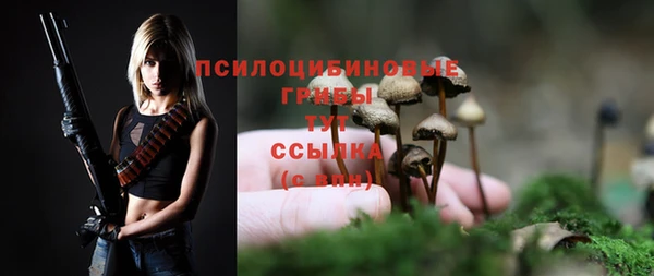 a pvp Дмитриев