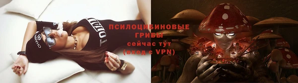стафф Дмитровск