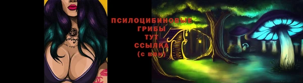 дживик Дмитров