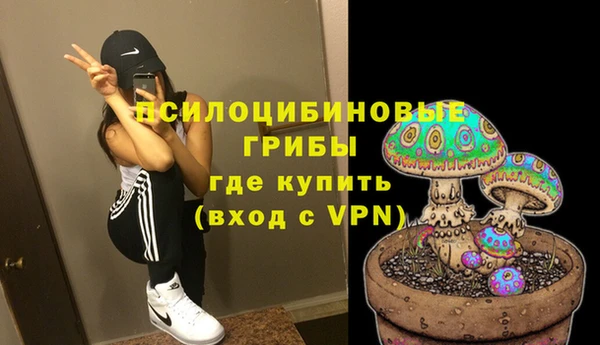 a pvp Дмитриев