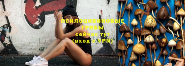дживик Дмитров
