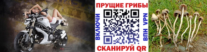 Галлюциногенные грибы мицелий Лобня